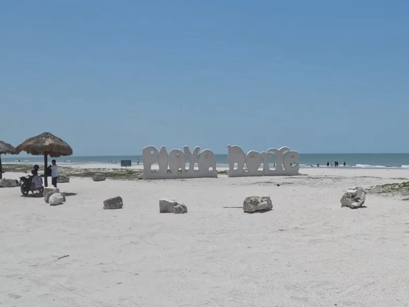 playanorte001