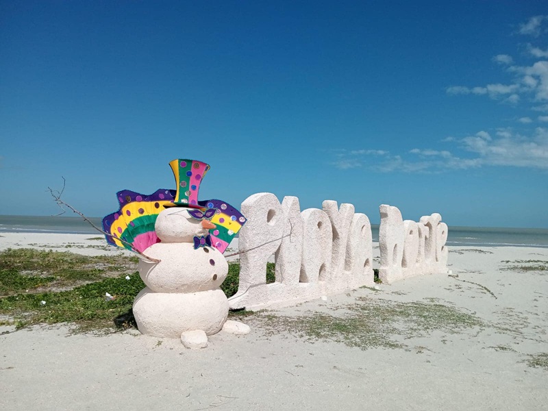 playanorte002