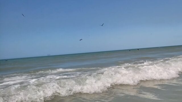 playanorte004