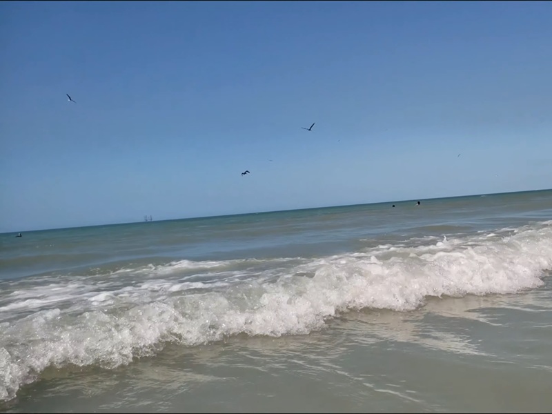 playanorte004